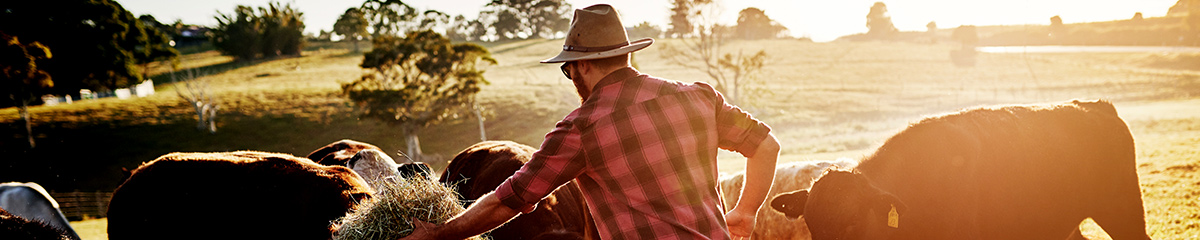 banner-2014-fleet Fleet